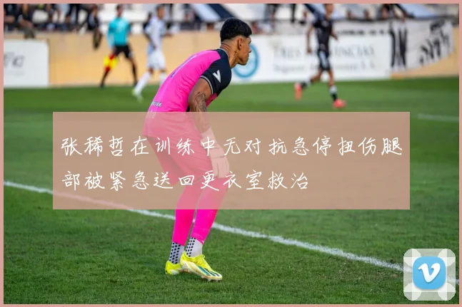 张稀哲在训练中无对抗急停扭伤腿部被紧急送回更衣室救治